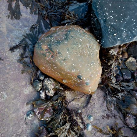 Close up of a beautifully coloured stone with interesting detail, found on a beach in Northumberland
