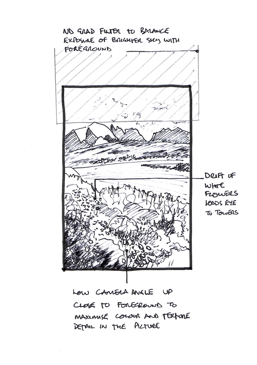 Carpet of Flora & Towers of Paine Sketch